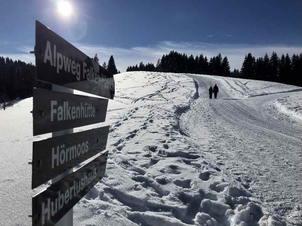 Winterwandern Oberstaufen: Über den Almweg winterwandern nach Hörmoos 