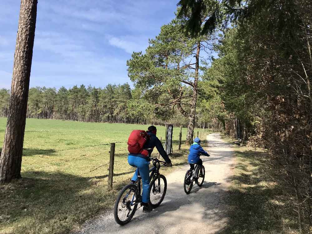 Die Ammersee Radtour mit Kindern verläuft meist am See, teils auch durch den Wald