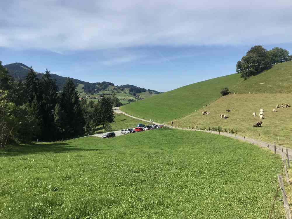 Anreise: Über die schmale Strasse kommst zum Buchenegger Wasserfälle Parkplatz