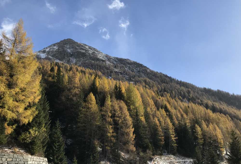 Oben an der Felbertauenstrasse ist wunderschöner Herbst mit der goldgelben Lärchenfärbung 