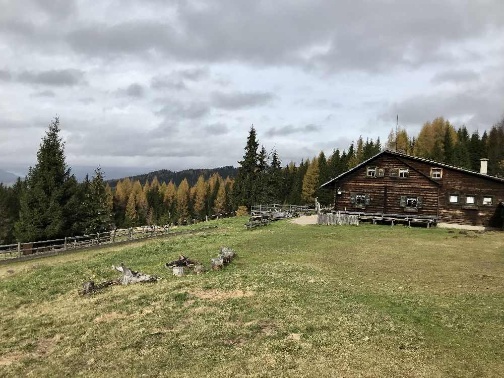 Die Anreise mit dem Auto auf die Saualpe: Bis zur Breitofnerhütte darf man fahren