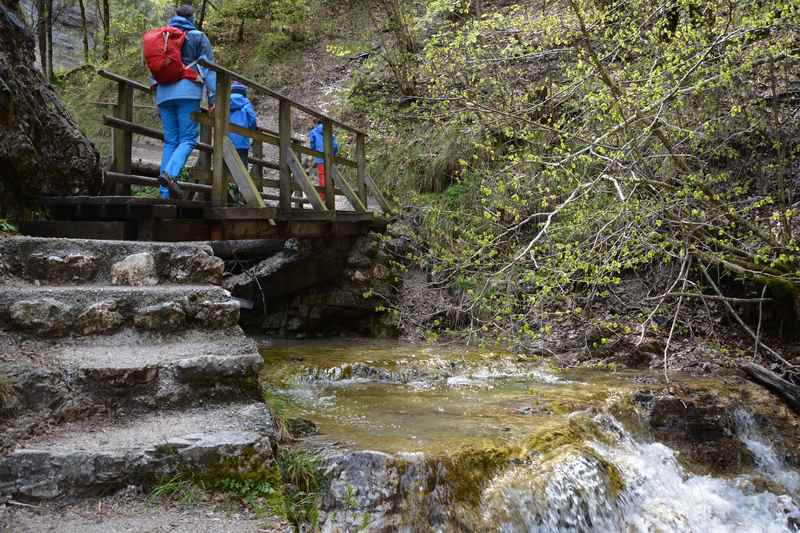 Nun ist der Nixenfall nicht mehr weit, über ein paar Stufen und eine Brücke führt die Familienwanderung im Salzkammergut