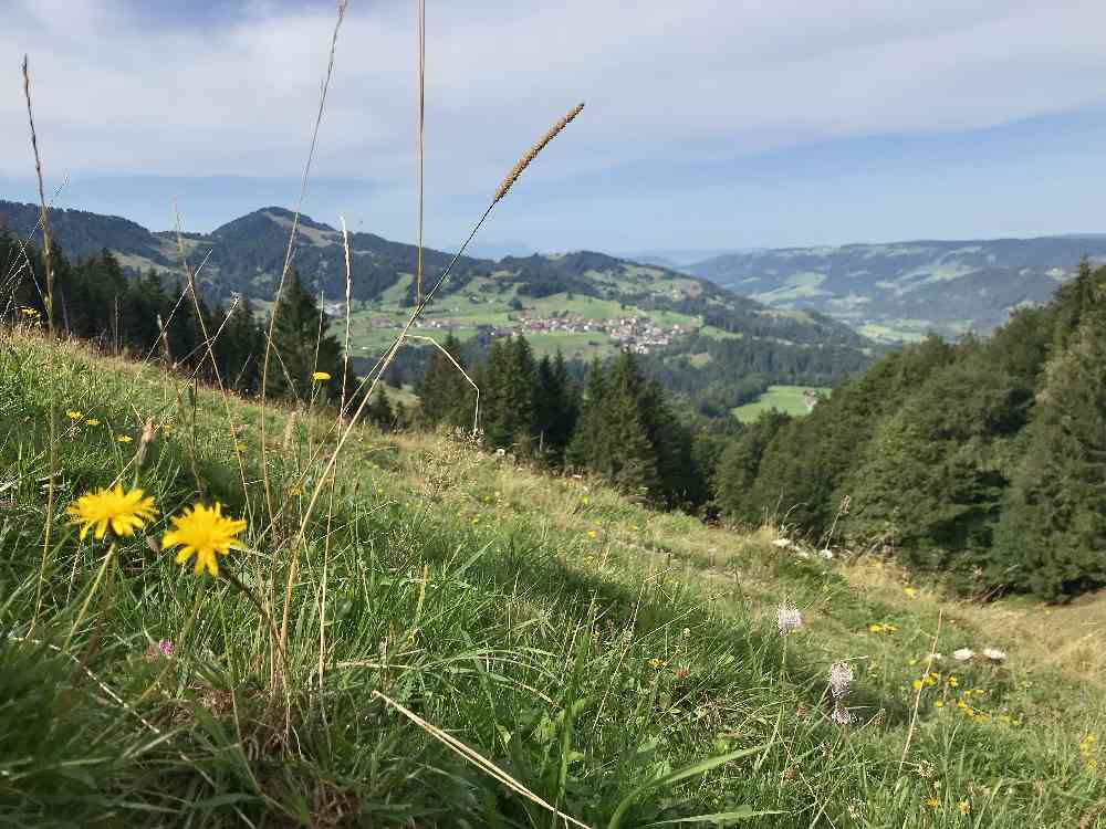 Buchenegger Wasserfälle Wanderung: So schaut das Bergpanorama am Hündle aus