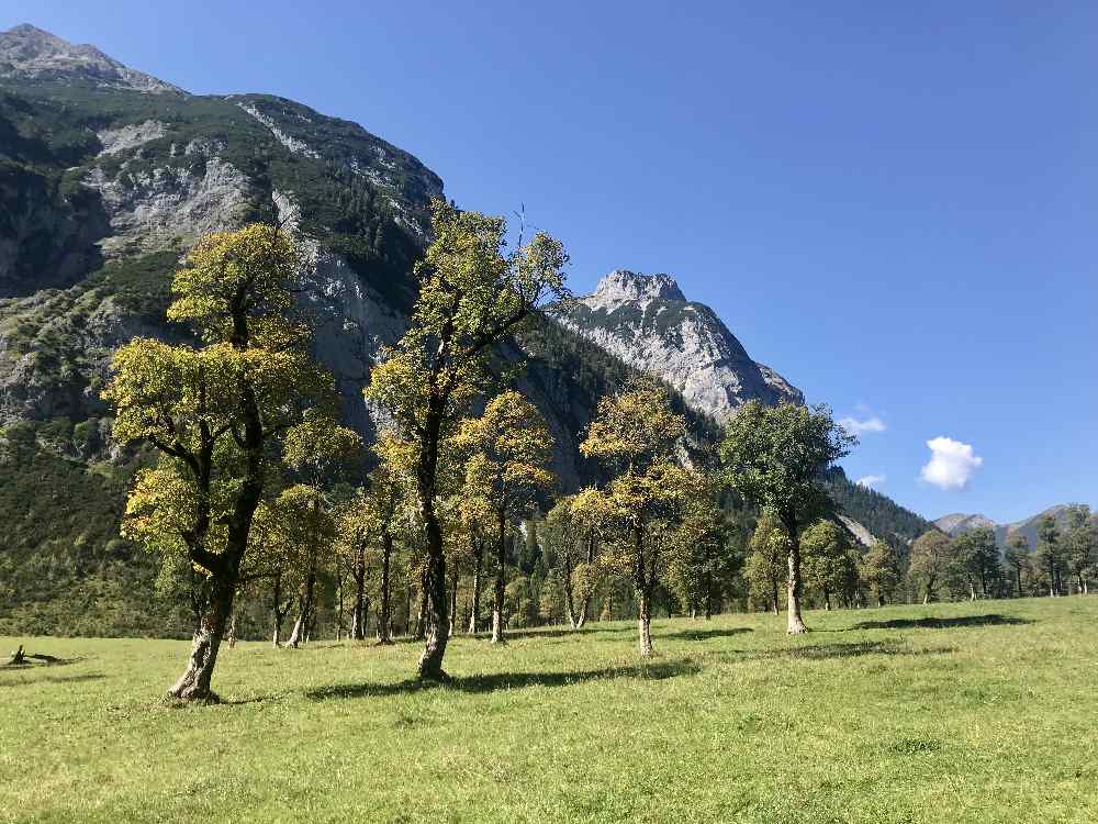 So schön ist der Ausflug zum Ahornboden im Herbst, wenn die Blattfärbung beginnt