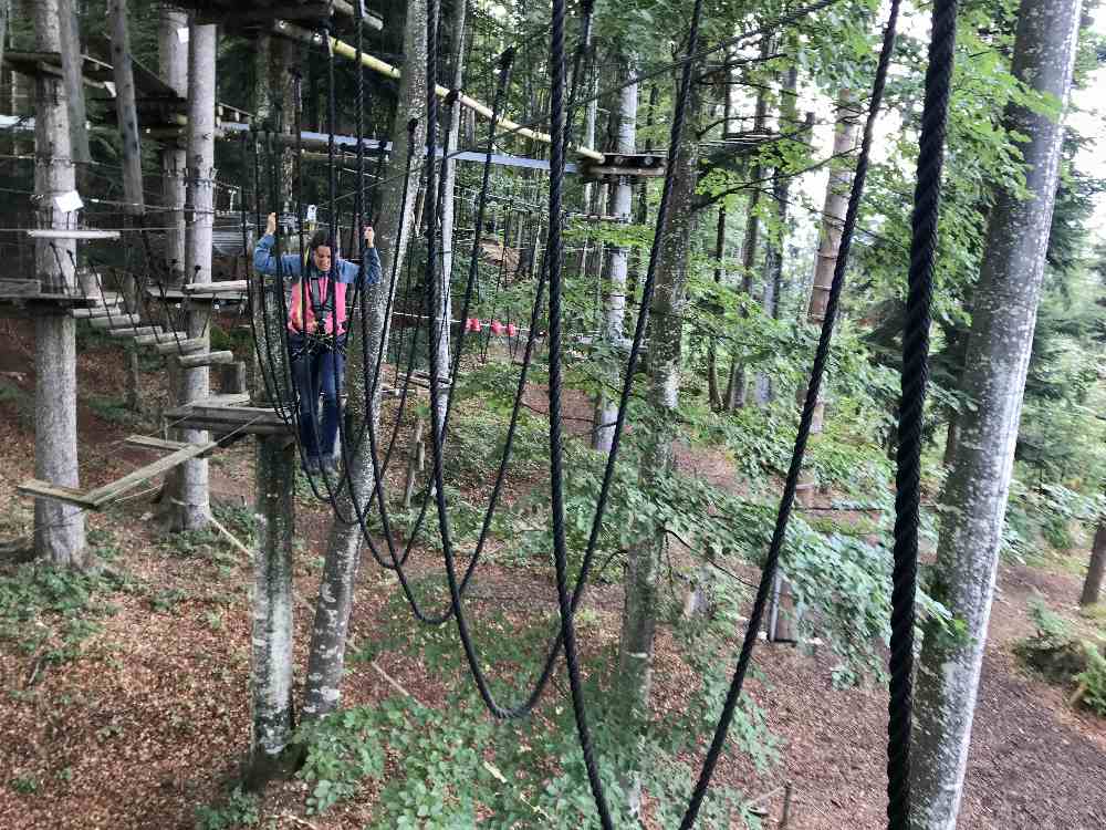 Vielfältig sind die Kletterelemente zwischen den Bäumen im Hochseilgarten