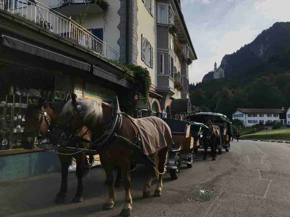 Oberhalb vom Ticketcenter stehen die Kutschen für die Auffahrt zum Schloss Neuschwanstein