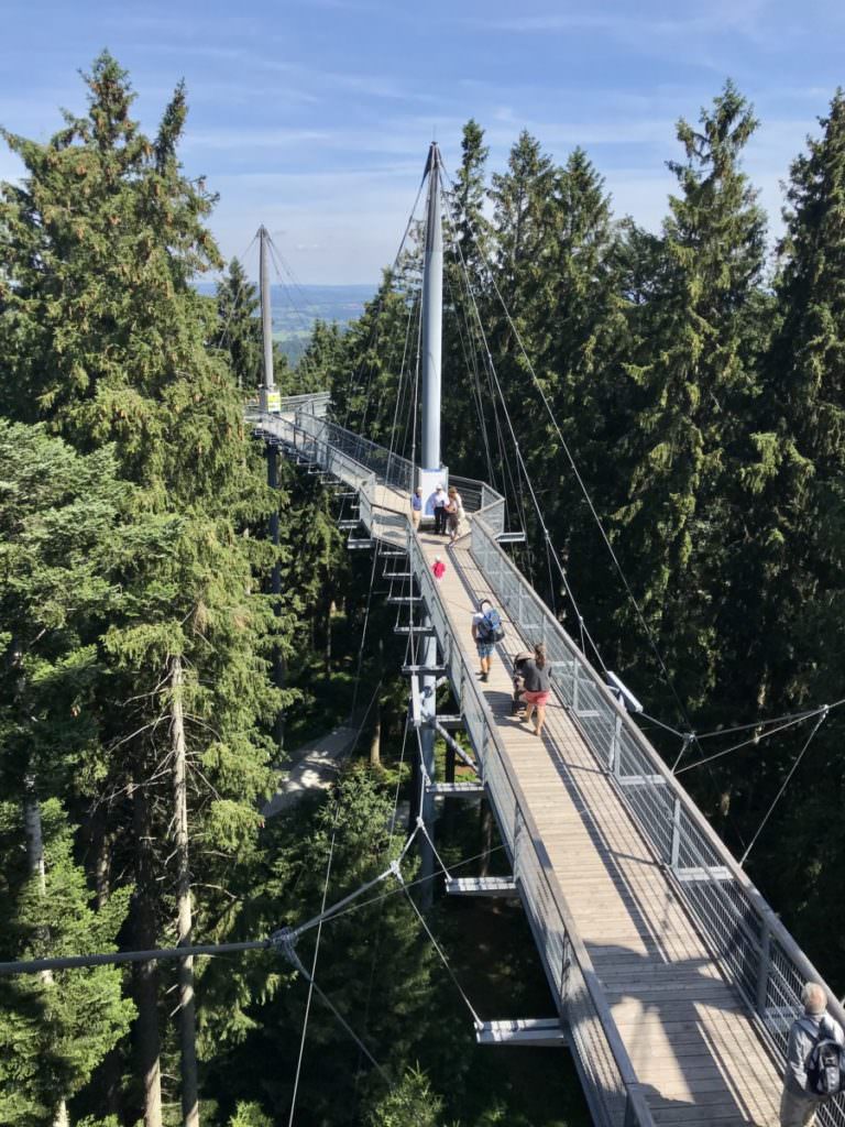 Ausflugsziele Deutschland mit Kindern: im Skywalk Scheidegg war es besonders toll