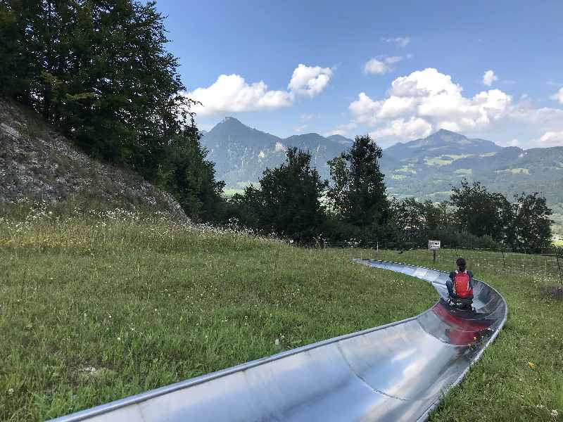 Ausflugsziele Rosenheim - die Sommerrodelbahn Hocheck in Oberaudorf