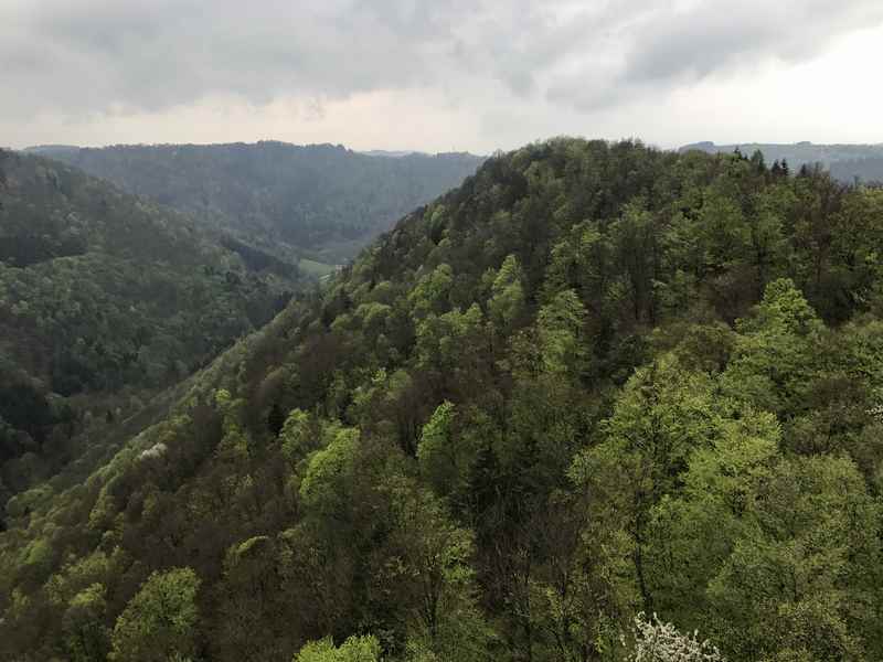 Die Aussicht vom Turm der Ruine Stauf bei Haibach an der Donau