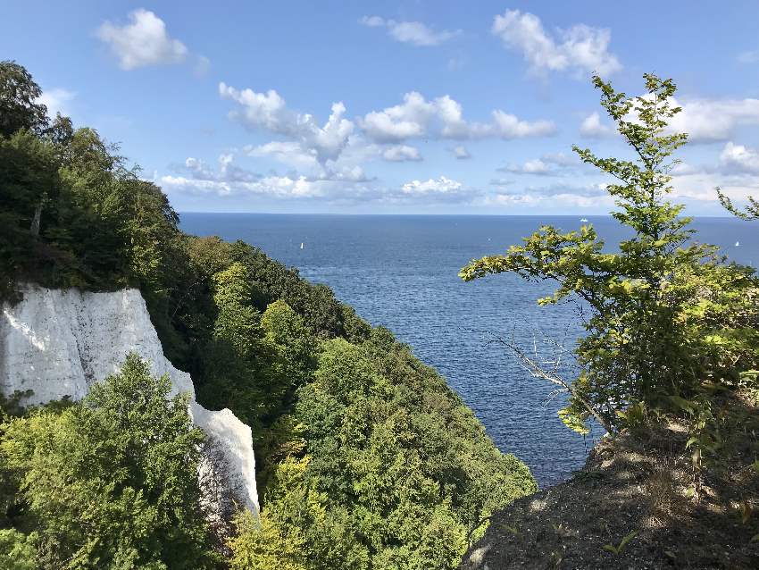 Einer der Ausblicke bei der Aussichtsplattform Königsstuhl