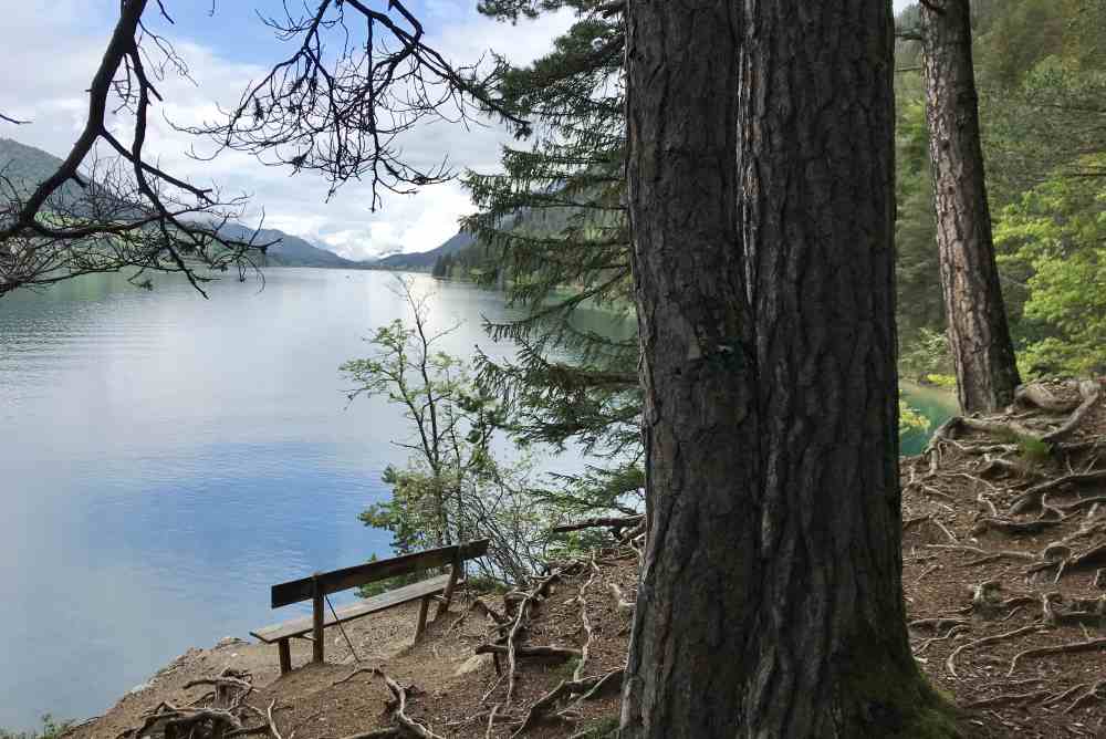 Unterwegs faszinieren mich diese schönen Plätze auf der Weissensee Wanderung