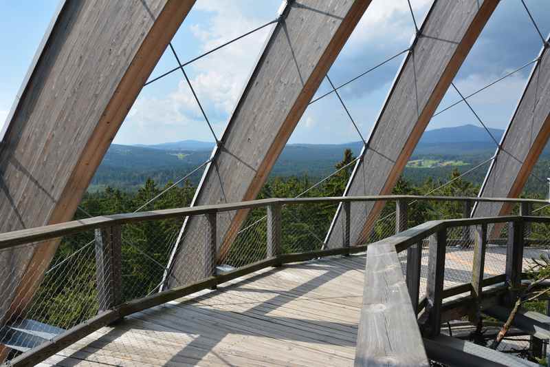  Oben am Aussichtsturm im Baumwipfelpfad Bayerischer Wald