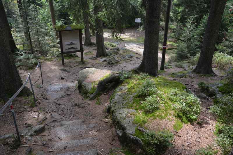 Der Bärenstein Märchenwald unterhalb des Gipfels, toll beim Wandern mit Kindern