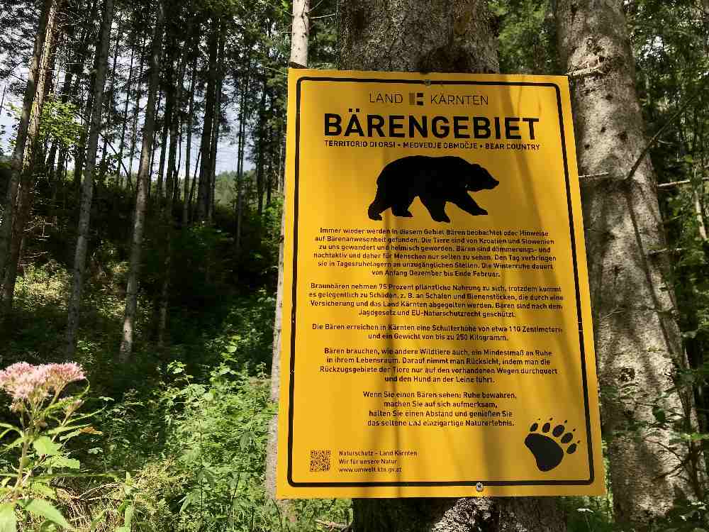 Auf dem Weg durch das Bärental finden wir das Schild zum Verhalten bei einer Begegnung mit Bären - in erster Linie Ruhe bewahren und die Begegnung geniessen - das rät die Naturbehörde in Kärnten