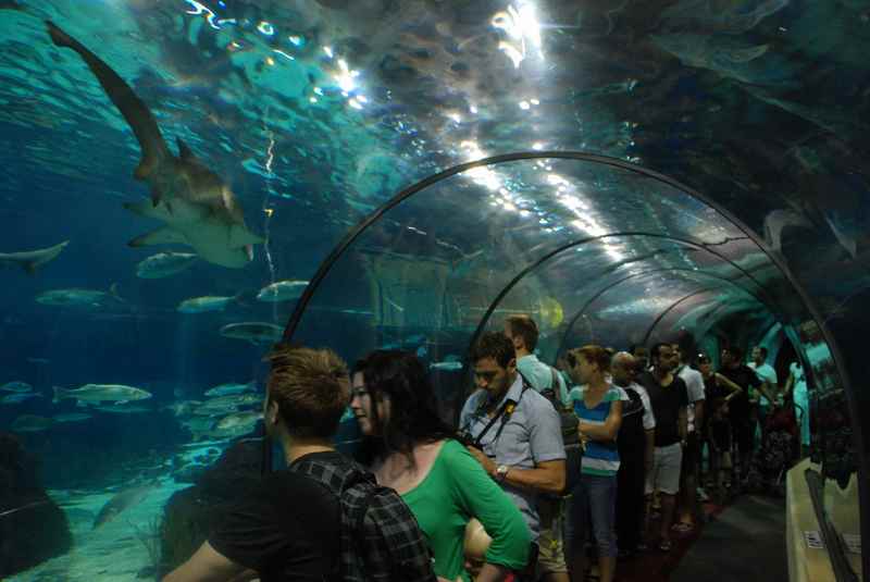 Barcelona Aquarium: Das ist Gang, wo du in einem Aquarium drin bist - um dich herum die Haie!