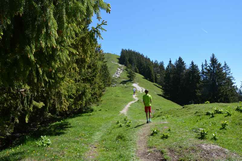 Baumgartenschneid wandern: Der letzte Anstieg 