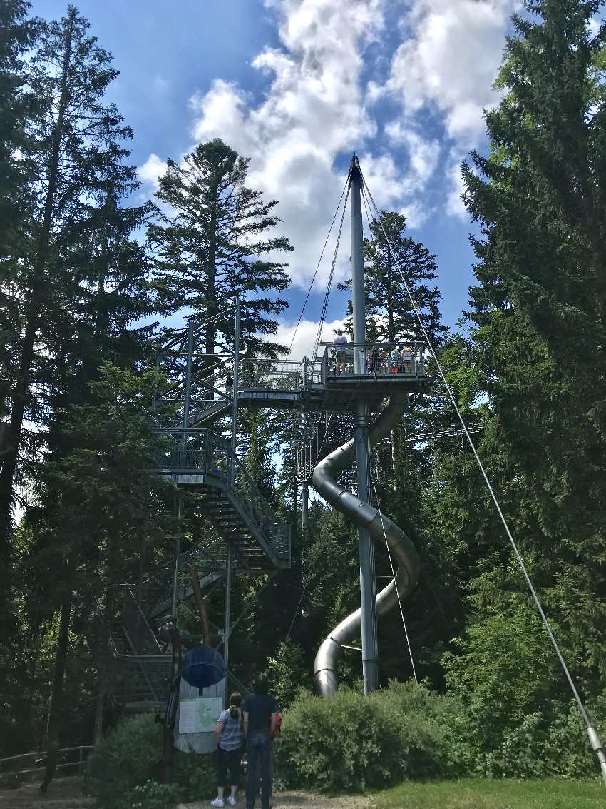 Baumwipfelpfad Allgäu mit Kindern: Zuerst oben spazieren, danach auf der langen Rutsche nach unten!