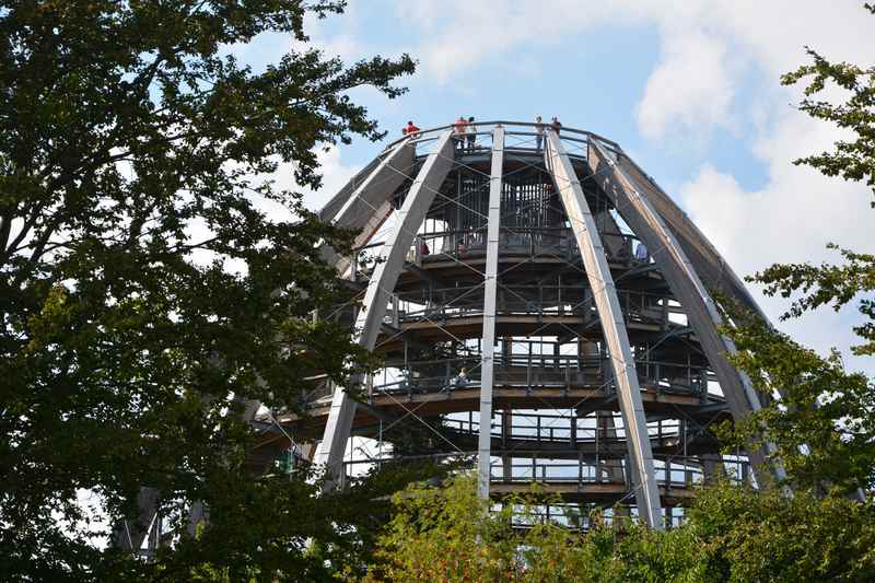  Da wollen wir unbedingt hin: Auf den Turm im Baumwipfelpfad Neuschönau