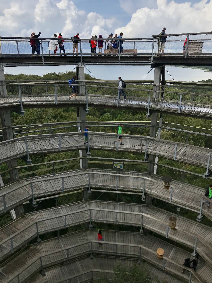 Rügen mit Kindern: Über den breiten Weg geht es Meter für Meter in Serpentinen hinauf am Baumwipfelpfad Rügen