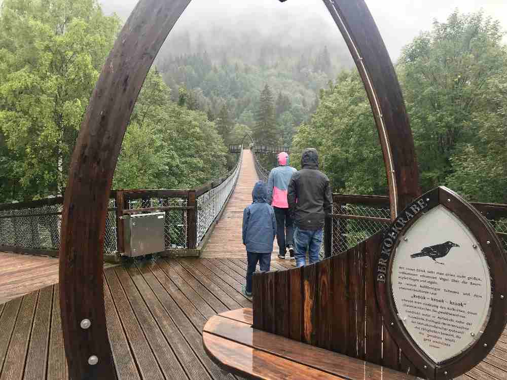  Das ist der Baumkronenweg Füssen - unser Regenwetter Ausflug mit Kindern 