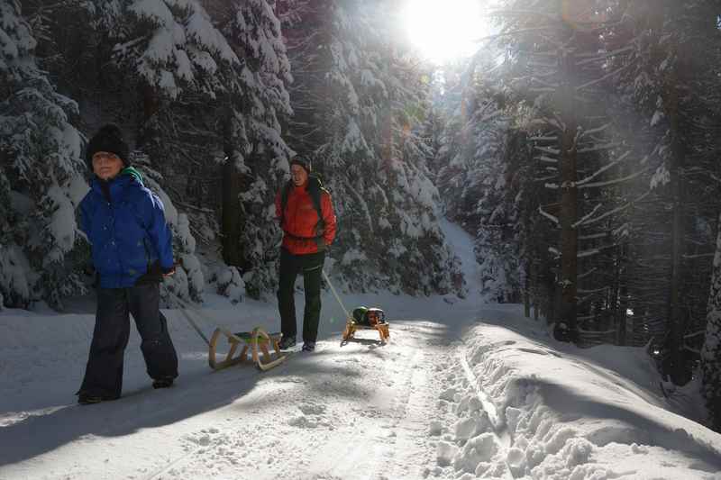 Rodelbahn Bayern in Berchtesgaden: Durch den Winterwald bergauf und dann mit dem Schlitten hinunter 