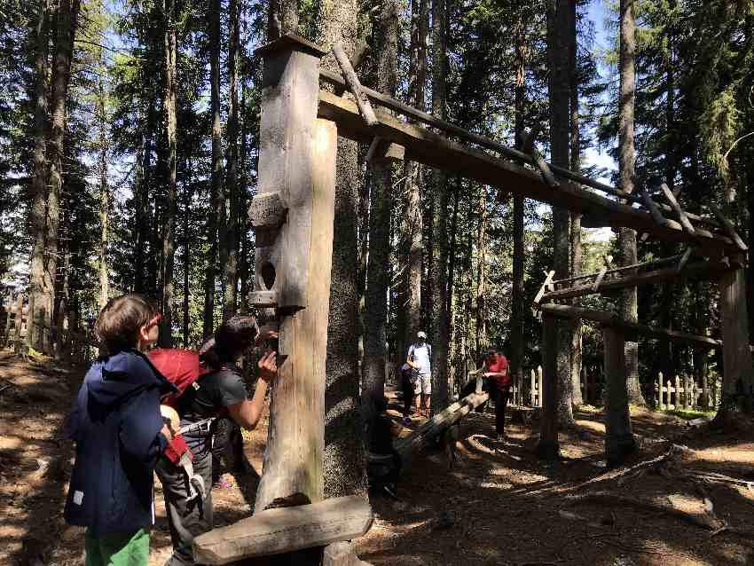 Top in Österreich: Der Kugelwald in Tirol