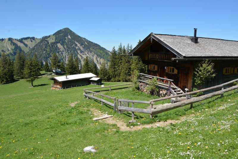 Bodenschneid wandern am Tegernsee: Die Bodenalm im Suttengebiet 