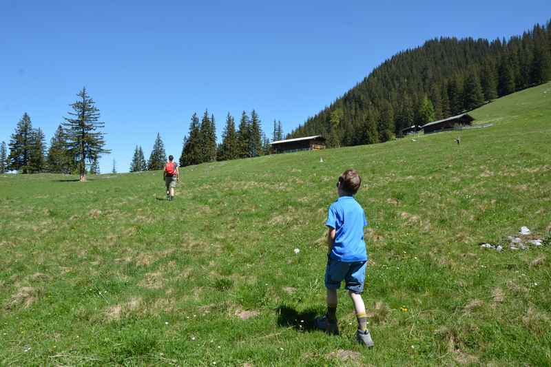 Wir wandern hinauf zu den Hütten der Bodenalm in Richtung Bodenschneid