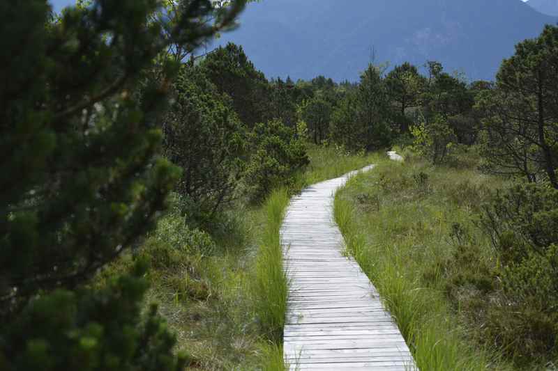 Auf dem Murnauer Moos Bohlenweg wandern wir wieder zurück zu den Fahrrädern  