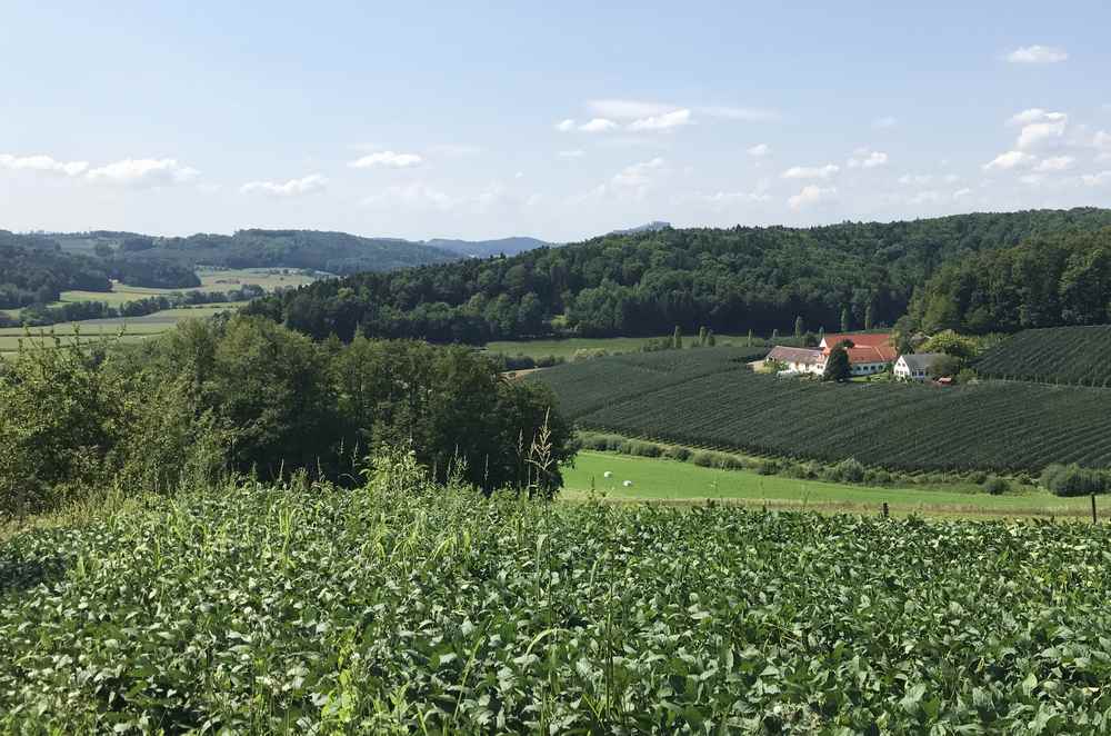 Auf dem Weg zum Allegria Stegersbach