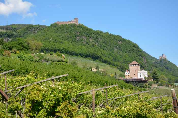 Burgenwanderung Eppan in Südtirol: Links die Schloss Boymont, in der Mitte die Burg Korb und rechts die Burg Hocheppan 