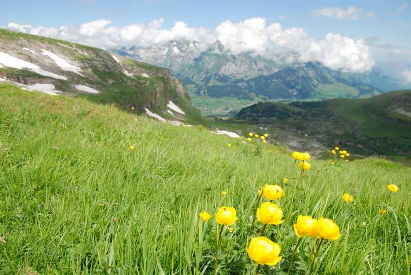 Chäserrugg wandern mit Kindern und den Säntis sehen