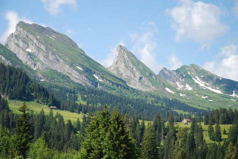 Von der Ferienwohnung Toggenburg hinauf zu den spitzen Zähnen der Churfirsten