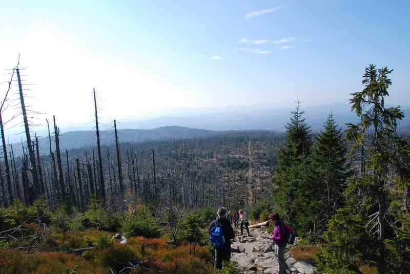 Mit der Familie wandern wir im Bayerischen Wald