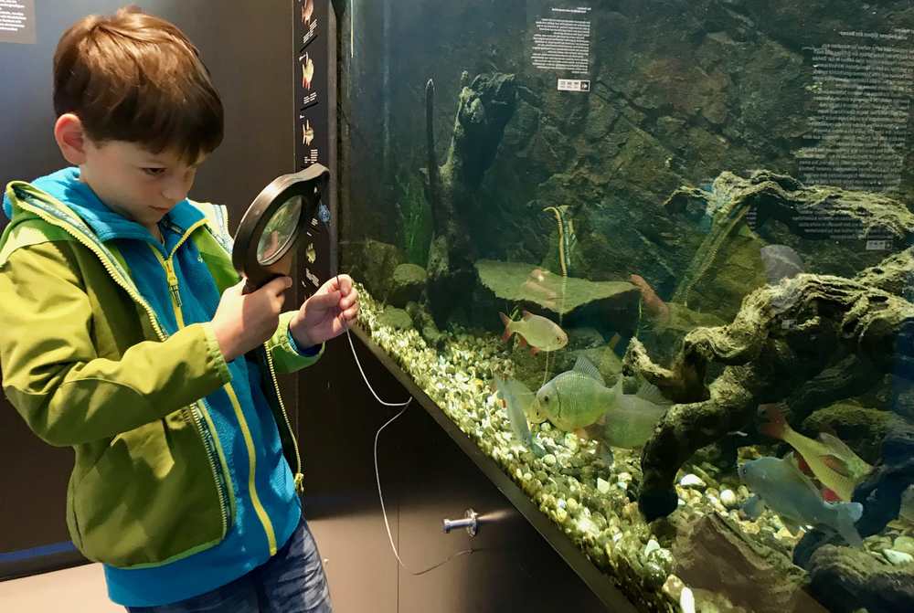 Ideal für kleine Forscher: Unser Besuch im Haus am Strom, direkt an der Donau im Passauer Land