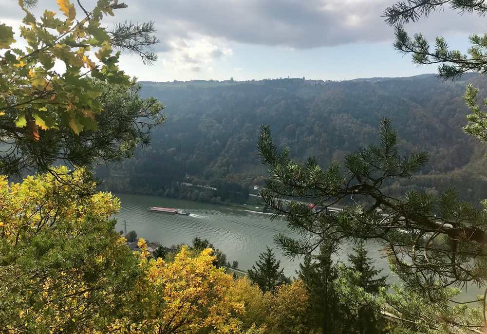 Wir wollen von der Donau zu einem Aussichtspunkt bei Kramesau wandern 