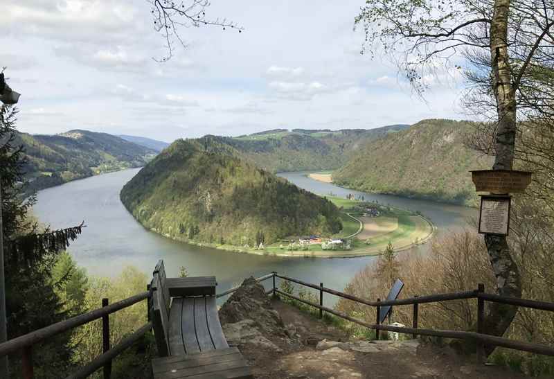 Wandern Oberösterreich an der Donauschlinge - Teil der Donausteig - Fernwanderung 