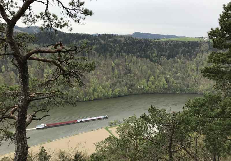 Auf dem Donausteig gibt es immer wieder Blicke hinunter auf die Donau und die Schiffe