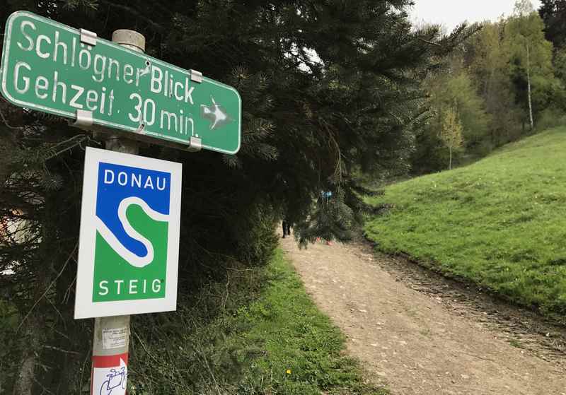 Auf dem Donausteig zum Schlögner Blick wandern mit Kindern 