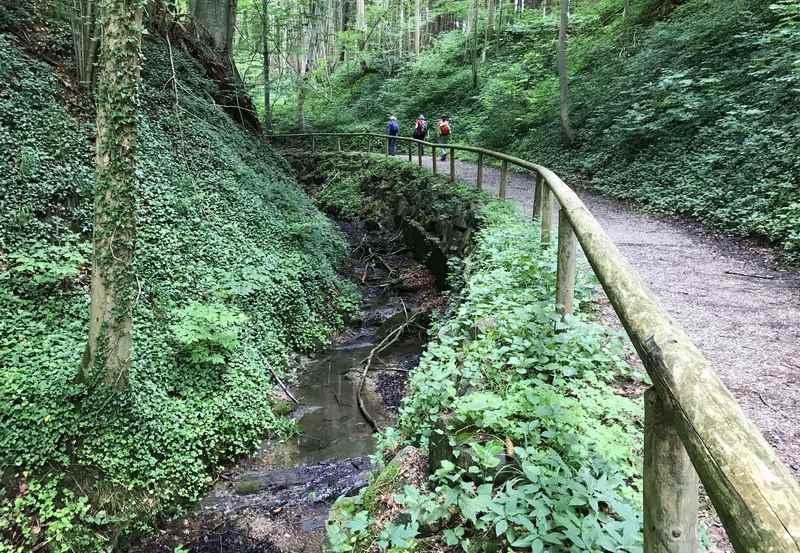 65 Stufen höher wandern wir durch dieses schöne Waldstück 