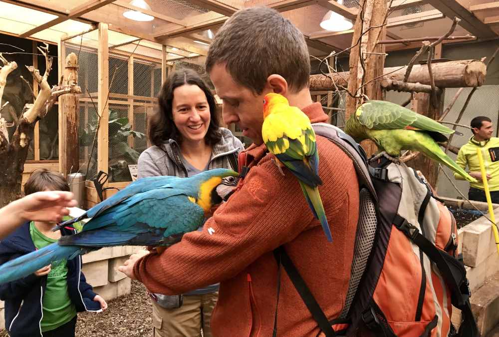 Unser besonderer Ausflug mit Kindern in Tirol: Wir füttern die Papageien im Dschungelhaus!