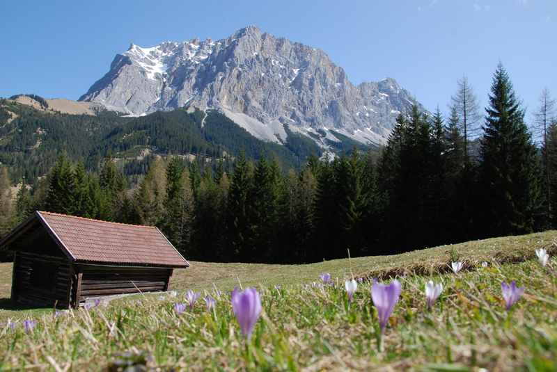 In Ehrwald wandern mit Kindern im Gaistal - mit eindrucksvollem Blick auf die Zugspitze