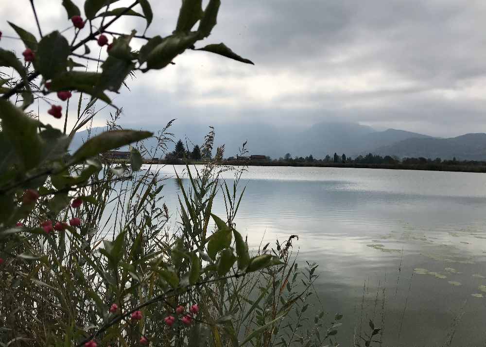 Herbst am Eichsee im Kochelsee Moor, Herzogstand und Jochberg sind im Nebel.