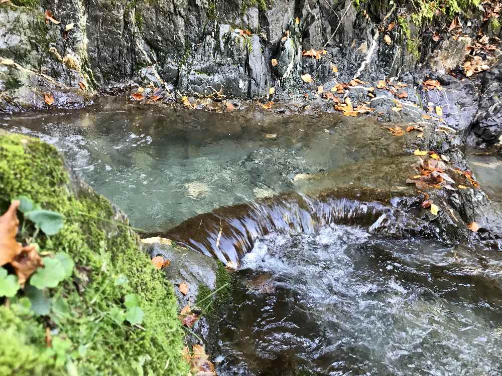 Unter uns rauscht das glasklare Wasser ins Tal 