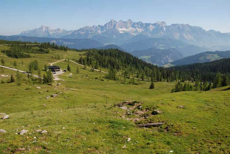 Auf der Fageralm oberhalb von Radstadt wandern