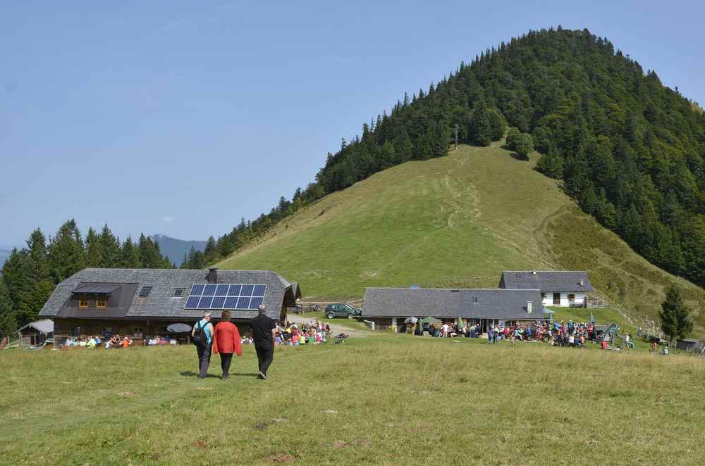 Das ist der Faistenauer Schafberg - eine einfache Wanderung mit Kindern, vorne die Oberwiesalm