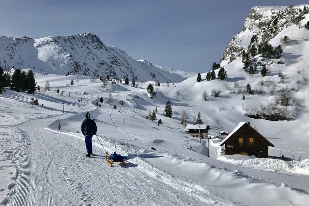 Am Falkert rodeln mit Kindern in den Nockbergen, Kärnten