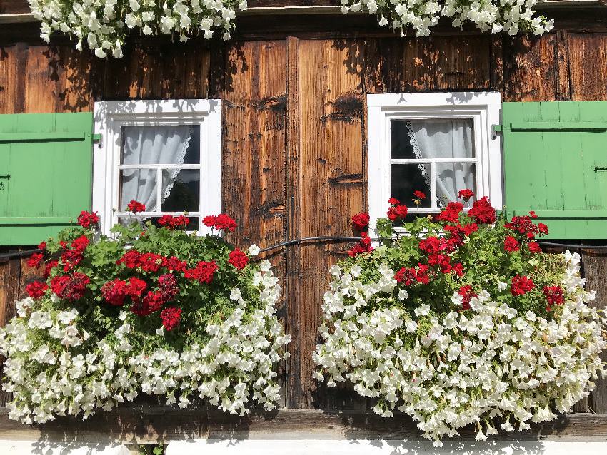 Familienhotels Vorarlberg - heimelige Bergatmosphäre mit Holz und Blumen