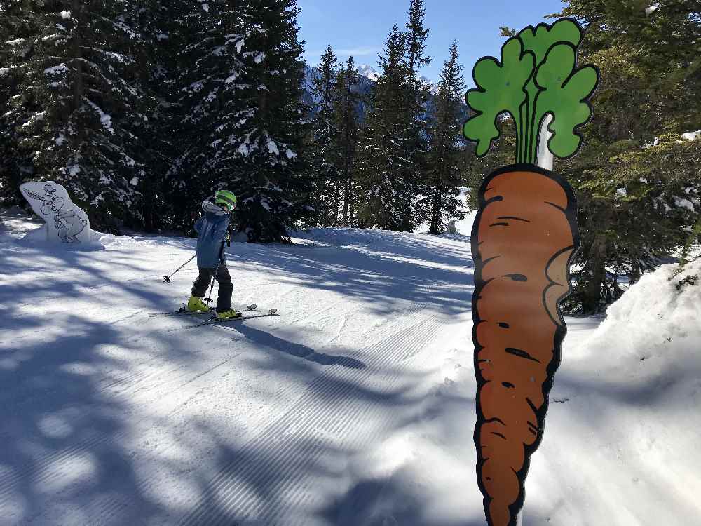 Skigebiet Steiermark - direkt neben der Skipiste wohnen 