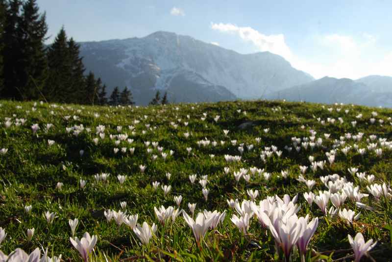 Familienurlaub wohin im Frühling? - hier hast du viel Auswahl!